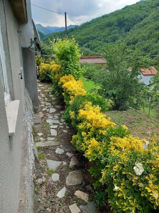 Вилла Il Non Ti Scordar Di Me Valbravenna Экстерьер фото